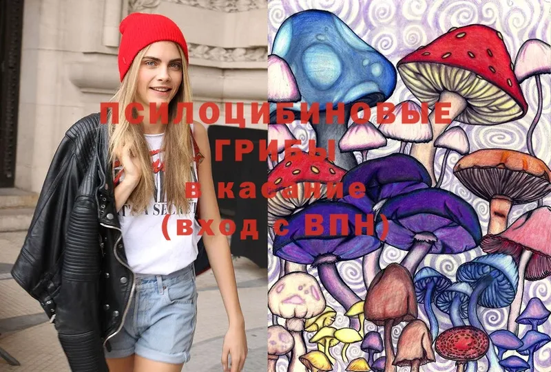 KRAKEN ССЫЛКА  Наволоки  Псилоцибиновые грибы Psilocybe 